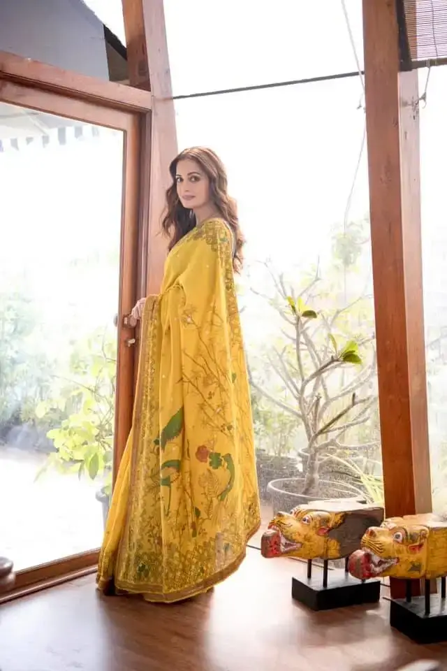 Indian Actress Dia Mirza Images In Traditional Yellow Color Saree